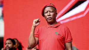 Julius Malema Challenges the ANC Leadership
