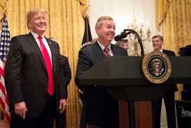 Senator Lindsey Graham Backs Donald Trump